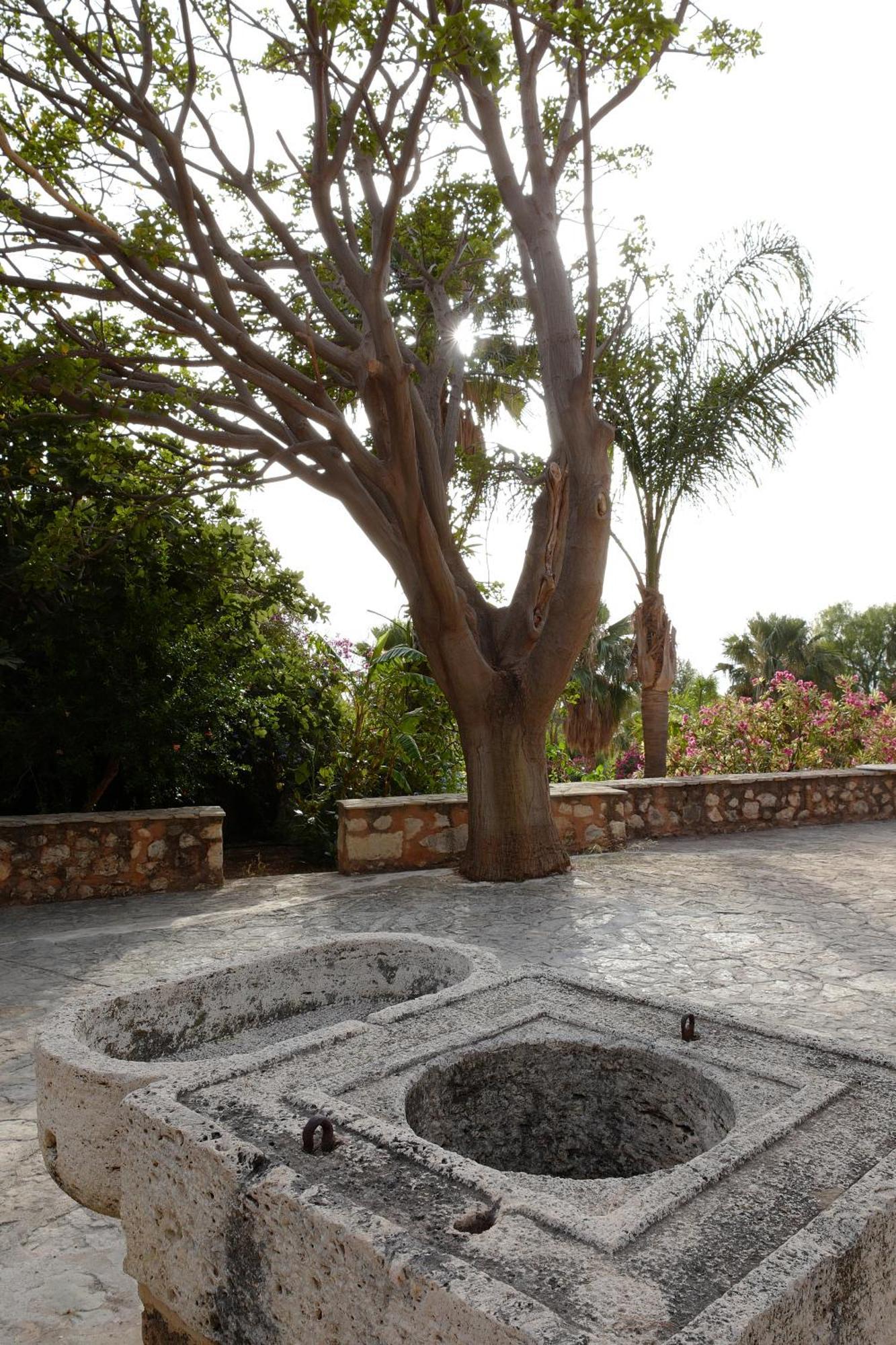 Bed & Breakfast Cala Dell'arena